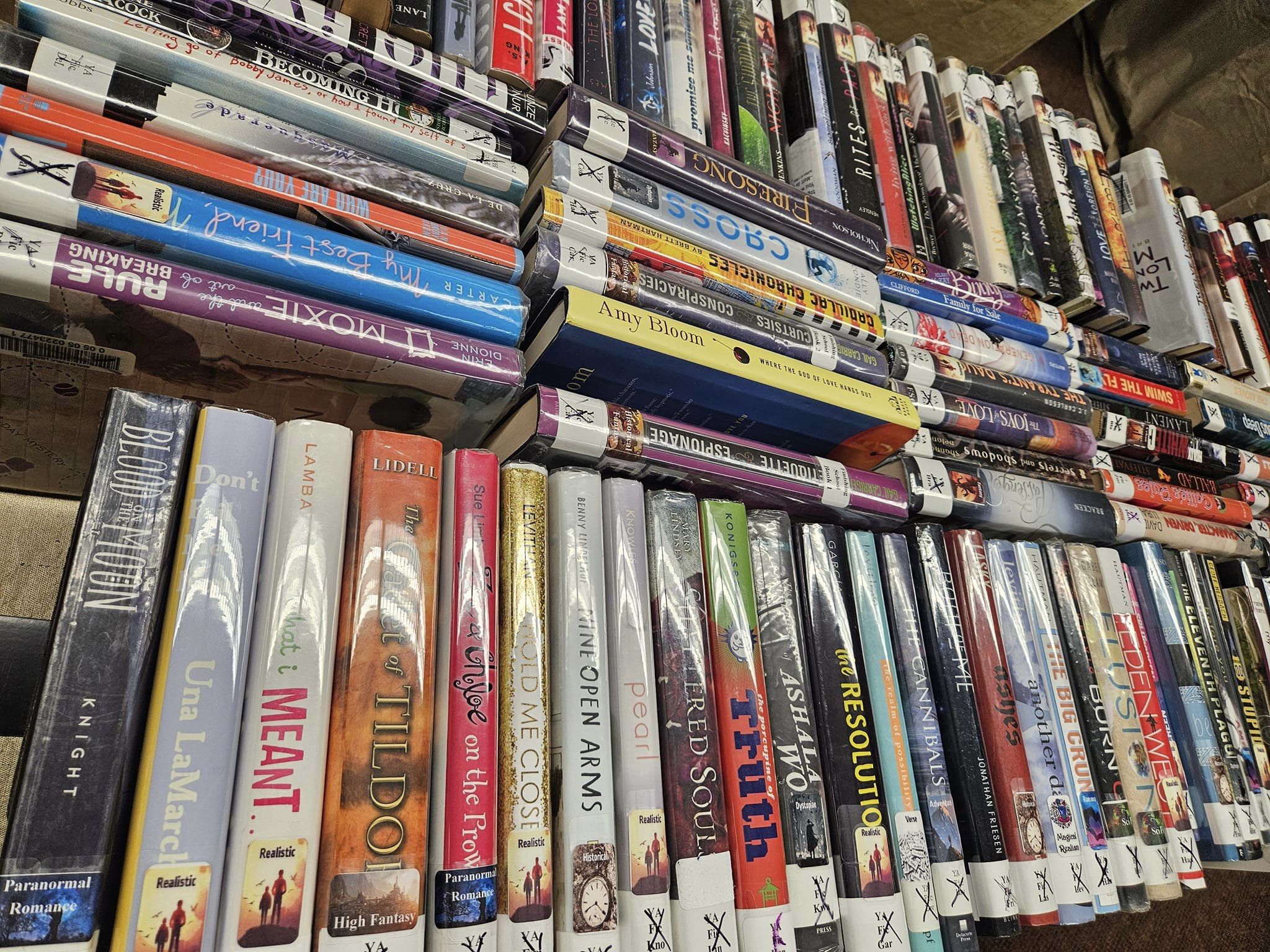 Friends of the Library Spring Book Sale