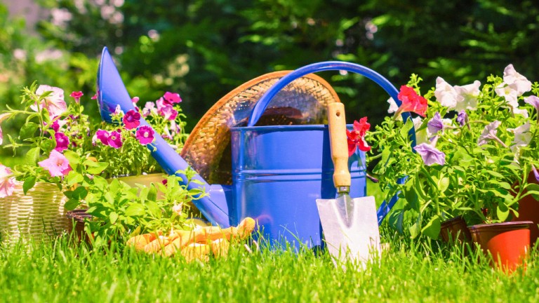 Container and Small Space Gardening