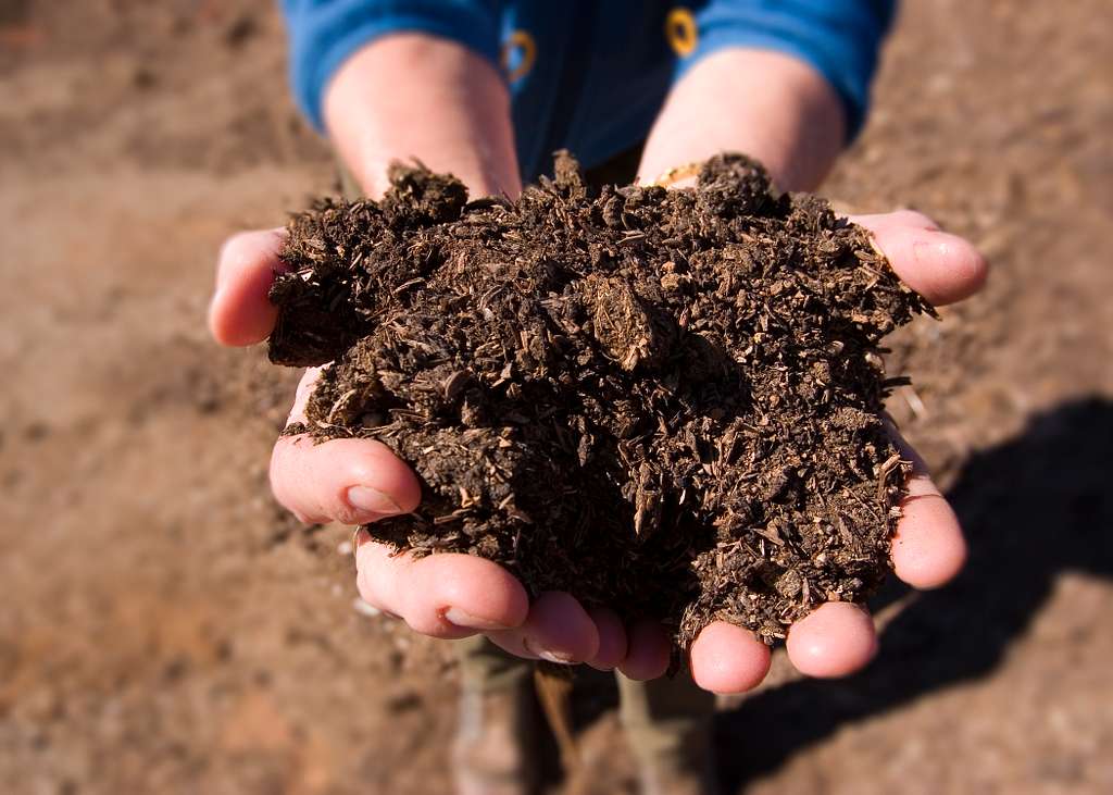 Composting at Home